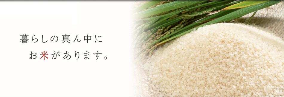 山川食糧｜米殻精米加工工場「あしたの元気」を支える。